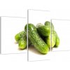 Kyslé uhorky, obraz (Obraz 90x60cm) Kyslé uhorky, obraz (Obraz 90x60cm)