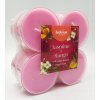 Parafínová vonná sviečka Jasmine & Mango Bolsius 8 ks Parafínová vonná sviečka Jasmine & Mango Bolsius 8 ks