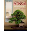 Beauty Of Bonsai, The: A Guide To Displaying And Viewing (Junsun Yamamoto)(Pevná) Beauty Of Bonsai, The: A Guide To Displaying And Viewing (Junsun Yamamoto)(Pevná)