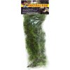 Zoo Med Cashuarina Plastic Plant - S/36 cm Zoo Med Cashuarina Plastic Plant - S/36 cm