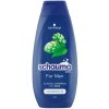 Schauma For Men šampón pre každý typ vlasov 400 ml Schauma For Men šampón pre každý typ vlasov 400 ml