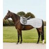 Deka sieťová bedrová Waldhausen Economic Farba: Šedá, Veľkosť: pony Deka sieťová bedrová Waldhausen Economic Farba: Šedá, Veľkosť: pony