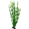 HOBBY Rastlina Vallisneria, 46 cm HOBBY Rastlina Vallisneria, 46 cm
