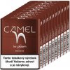 JTI Camel for Ploom - Bronze (karton)