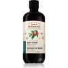 Green Pharmacy Green coffee & Ginger Oil Bath Foam pena do kúpeľa 500 ml Green Pharmacy Green coffee & Ginger Oil Bath Foam pena do kúpeľa 500 ml