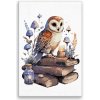 Maľovanie podľa čísel - Múdra sova - 40x60 cm, plátno vypnuté na rám - výroba CZ Maľovanie podľa čísel - Múdra sova - 40x60 cm, plátno vypnuté na rám - výroba CZ