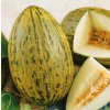 Piñonet Piel de Sapo ( semená) melón Piñonet Piel de Sapo ( semená) melón