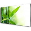 Sklenený obklad Do kuchyne Bambus list rastlina príroda 100x50 cm Sklenený obklad Do kuchyne Bambus list rastlina príroda 100x50 cm