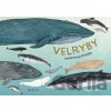 Velryby - Kelsey Oseid Velryby - Kelsey Oseid