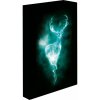 Obraz LED svítící 30x40, Harry potter - Patron Obraz LED svítící 30x40, Harry potter - Patron