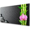 Skleneny obraz Bambus stonka kvet rastlina 100x50 cm Skleneny obraz Bambus stonka kvet rastlina 100x50 cm