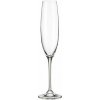 CRYSTALITE BOHEMIA BOHEMIA FULICA POHÁR NA ŠAMPANSKÉ 6 x 250 ml