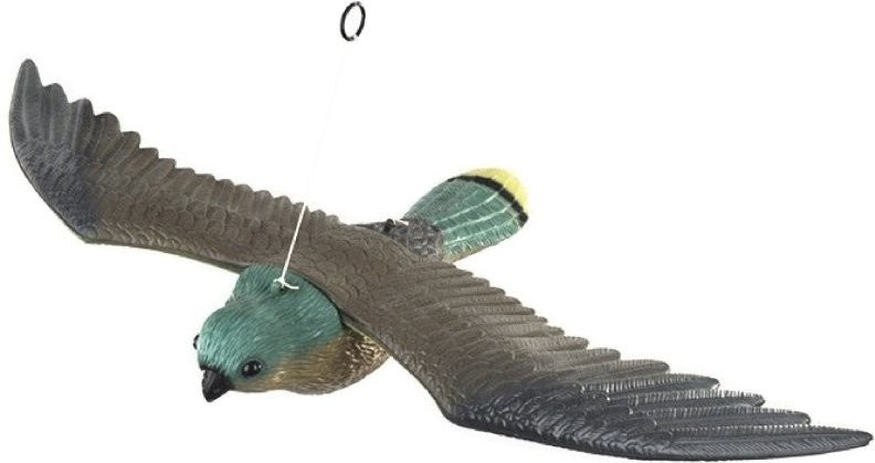 Bradas CTRL-BR104 Sokol plastová 3D maketa na plašenie vtákov