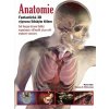Anatomie - Thomas O. McCracken Anatomie - Thomas O. McCracken