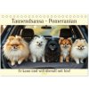 Tausendsassa - Pomeranian (Tischkalender 2026 DIN A5 quer), CALVENDO Monatskalender Tausendsassa - Pomeranian (Tischkalender 2026 DIN A5 quer), CALVENDO Monatskalender