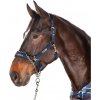 Eskadron Control Headcollar Eskadron Control Headcollar