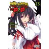 HIGH SCHOOL DXD {LN} V13 HIGH SCHOOL DXD {LN} V13