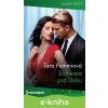 E-kniha Software pro lásku - Tara Pammi E-kniha Software pro lásku - Tara Pammi