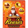 Reese's Adventný kalendár Arašidové maslo ako darček na Vianoce Mikuláša 240g Reese's Adventný kalendár Arašidové maslo ako darček na Vianoce Mikuláša 240g