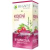 MEGAFYT Bylynková lekáreň Dojčenie porciovaný čaj 20 x 1,5 g MEGAFYT Bylynková lekáreň Dojčenie porciovaný čaj 20 x 1,5 g