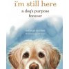 I'm Still Here I'm Still Here