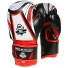 Boxerské rukavice DBX BUSHIDO ARB 407v2 6 oz