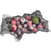 Samolepiaca nálepka Mrazené jahody 95x73 cm Samolepiaca nálepka Mrazené jahody 95x73 cm