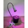 PROFI LED GROW lampa na všetky rastliny (E27) 5W PROFI LED GROW lampa na všetky rastliny (E27) 5W