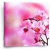 Sablio Obraz Kvety orchidey - 50x50 cm Sablio Obraz Kvety orchidey - 50x50 cm