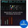 Cherry Audio FM Bundle (Digitálny produkt)