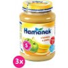 3x HAMÁNEK s Jablkom a banánom 190 g VP-F049503 3x HAMÁNEK s Jablkom a banánom 190 g VP-F049503