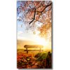 Sklenené hodiny vertikálne Príroda lavička v farebnom parku 30x60 cm Sklenené hodiny vertikálne Príroda lavička v farebnom parku 30x60 cm