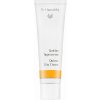 Dr. Hauschka Quince Day Cream hydratačný krém s výťažkom z dule 30 ml Dr. Hauschka Quince Day Cream hydratačný krém s výťažkom z dule 30 ml