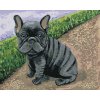 ZUTY Maľovanie podľa čísel FRANCÚZSKY BULDOČEK Rámovanie bez rámu a bez vypnutia plátna Rozmer 80 x 100 cm
