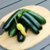 Cuketa Sandokan F1 - Cucurbita pepo - semená cukety - 8 ks Cuketa Sandokan F1 - Cucurbita pepo - semená cukety - 8 ks