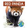 Red Panda Red Panda