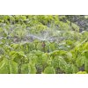 Gardena Micro-Drip-System Rozprašovacia tryska 360 ° 5 ks model 2023 13322-20 Gardena Micro-Drip-System Rozprašovacia tryska 360 ° 5 ks model 2023 13322-20