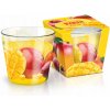 Tradičná parafínová sviečka Mango & Fruits Bartek Candles 1 ks Tradičná parafínová sviečka Mango & Fruits Bartek Candles 1 ks
