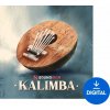 Soundiron Kalimba (Digitálny produkt) Soundiron Kalimba (Digitálny produkt)