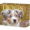Dogs 2026 5.4 X 6.2 Box Calendar Dogs 2026 5.4 X 6.2 Box Calendar