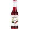 Monin Le Sirop Grenadine 250 ml