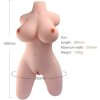 Armony - Realistic Female Torso Model 2 Armony - Realistic Female Torso Model 2