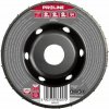 Profix konvexní kotoučová rašple, hrubé zuby, boční štípačka, 120 mm Proline Profix konvexní kotoučová rašple, hrubé zuby, boční štípačka, 120 mm Proline