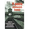 V pekle plynových komor - Shlomo Venezia V pekle plynových komor - Shlomo Venezia