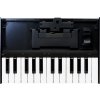 Roland K-25M