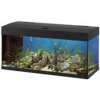 akvárium set DUBAI 100 MAHAGONY101 x 41 x 53 cm, 190l Ferplast akvaristika akvárium set DUBAI 100 MAHAGONY101 x 41 x 53 cm, 190l Ferplast akvaristika