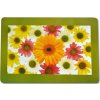 Plastové prestieranie TORO 28x43cm kvety MIX motívov Možnosť: SUNSHINE Plastové prestieranie TORO 28x43cm kvety MIX motívov Možnosť: SUNSHINE
