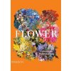 Flower: Exploring the World in Bloom - autor neuvedený Flower: Exploring the World in Bloom - autor neuvedený