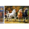 Norimpex Diamantové maľovanie Štyri cválajúce kone 30 x 40 cm