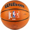 Wilson NBA WNBA Auth